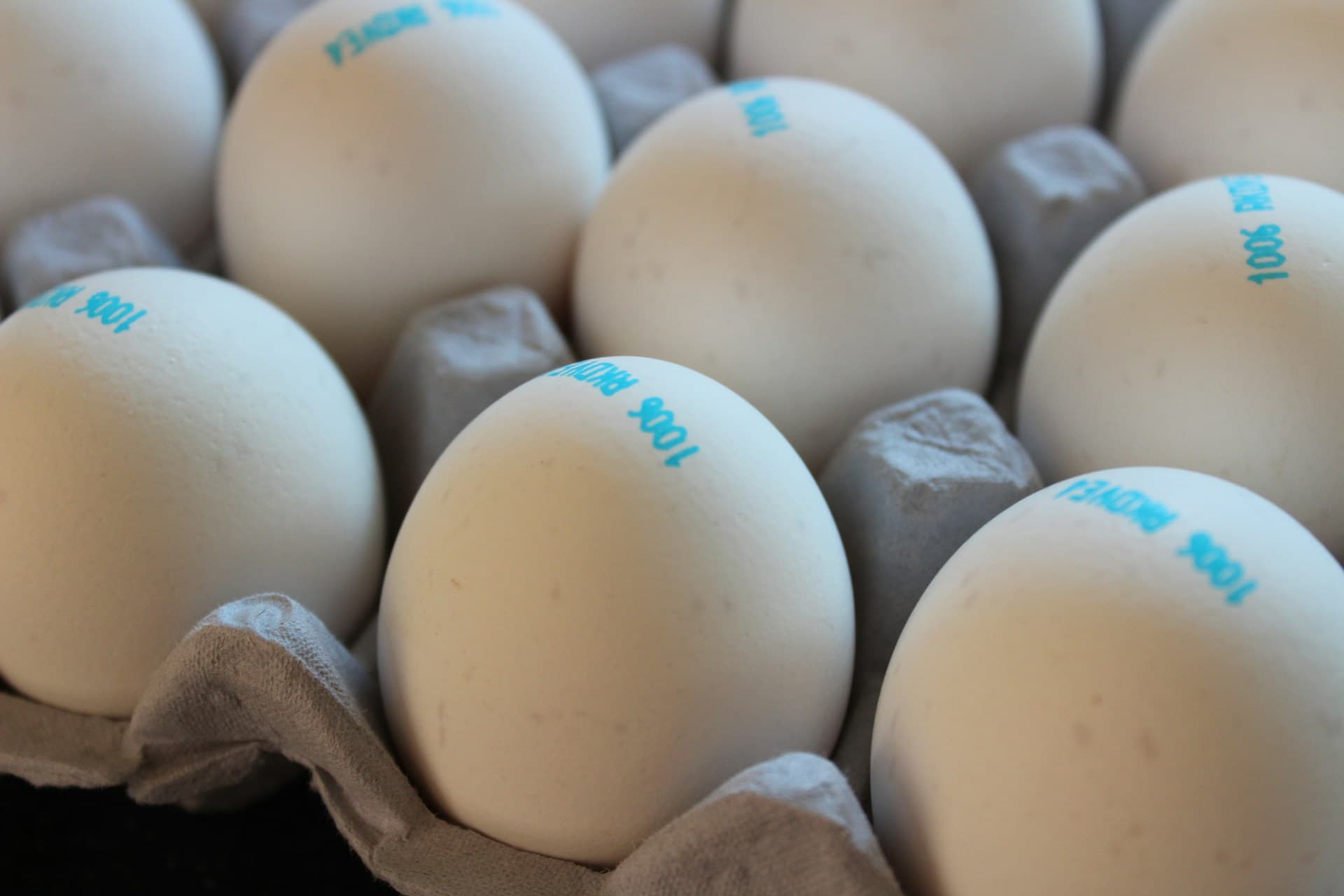 White Eggs