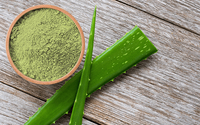 Aloe Vera